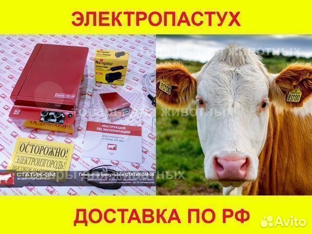 Электропастух для всех