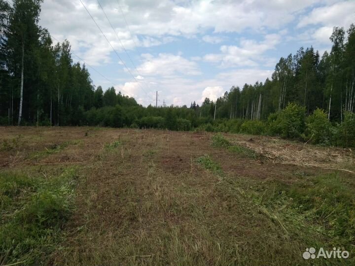 Расчистка участка, мульчирование