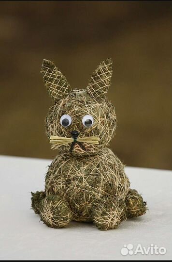 Набор сухоцвета для декора