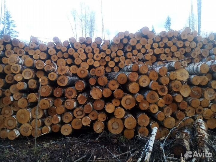 Лес кругляк хвойный баланс береза