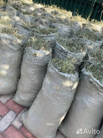 Сено свежий сбор в мешках