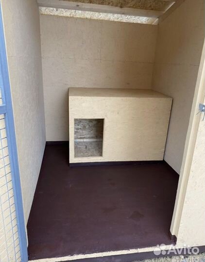 Профессиональная передержка собак (зоогостиница)