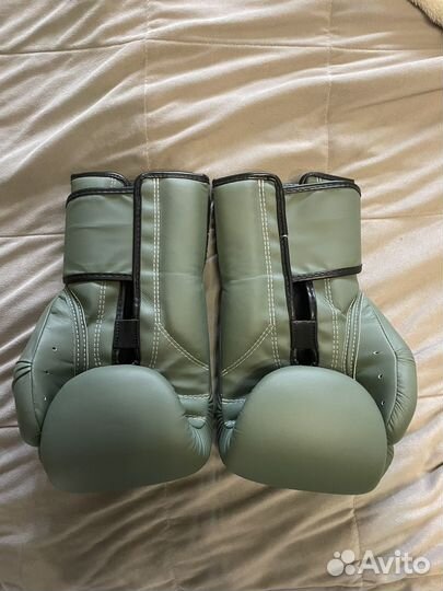 Перчатки боксерские Fairtex (BGV-11 F Day) 14 oz