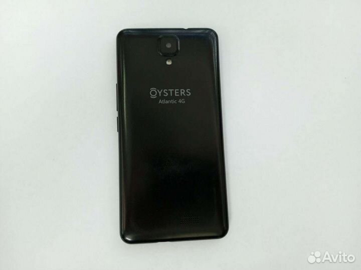 Oysters Atlantic 4g
