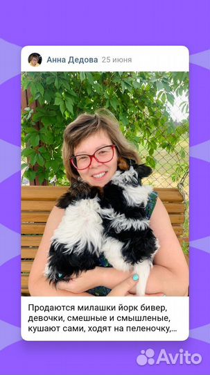 Бивер Йорк девочка