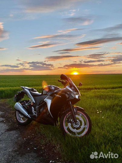 Honda CBR250R