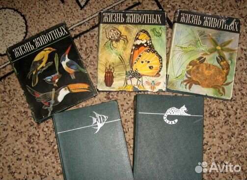 Продаю энциклопедию жизнь животных