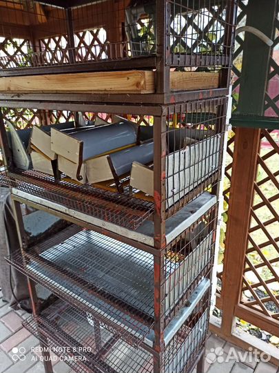 Клетки для перепелов