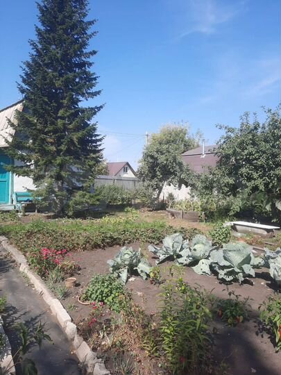 Дача 20 м² на участке 7,8 сот.