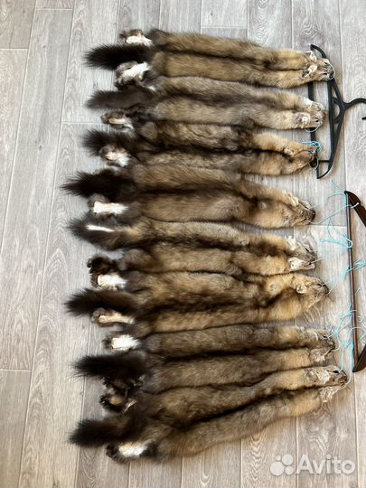 Пушнина Соболя