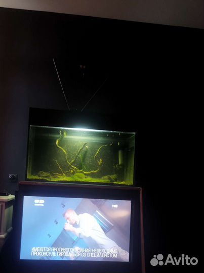 Аквариум 250 литров с тумбой