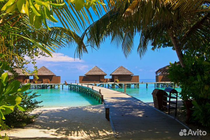 Тур на Мальдивы отель 3 звезды