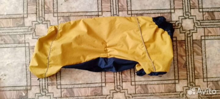 Дождевик для корги щенков