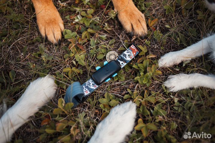 Gps навигатор для животных