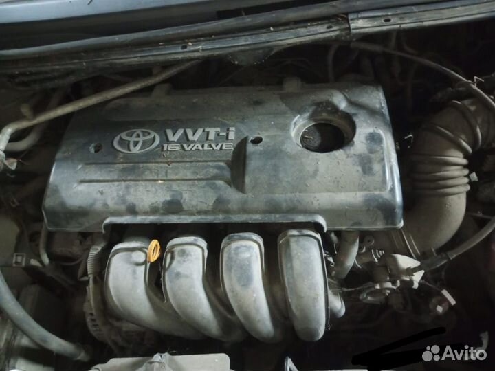 Тойота спасио. Фара. Итд