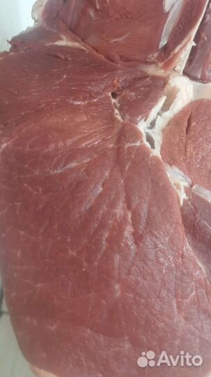 Мясо халяль из Дагестана