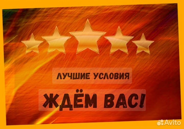 Оператор производственной линии Без опыта М/Ж