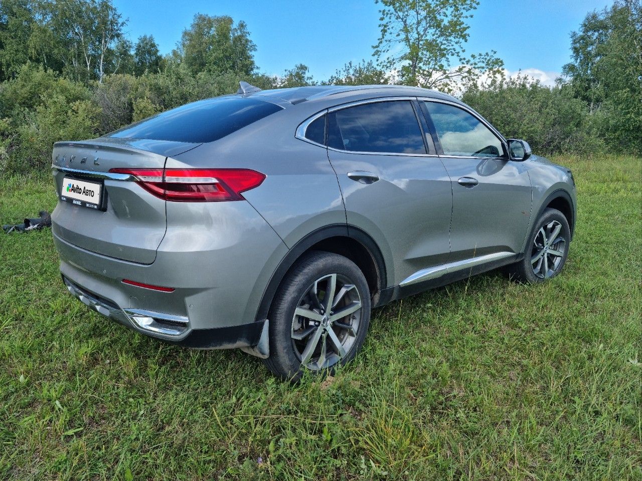 HAVAL F7x: фото владельца