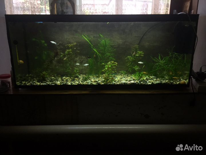 Аквариум 120л на заказ