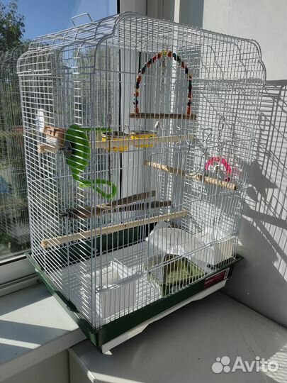 Клетка для попугая корелла и волнистых