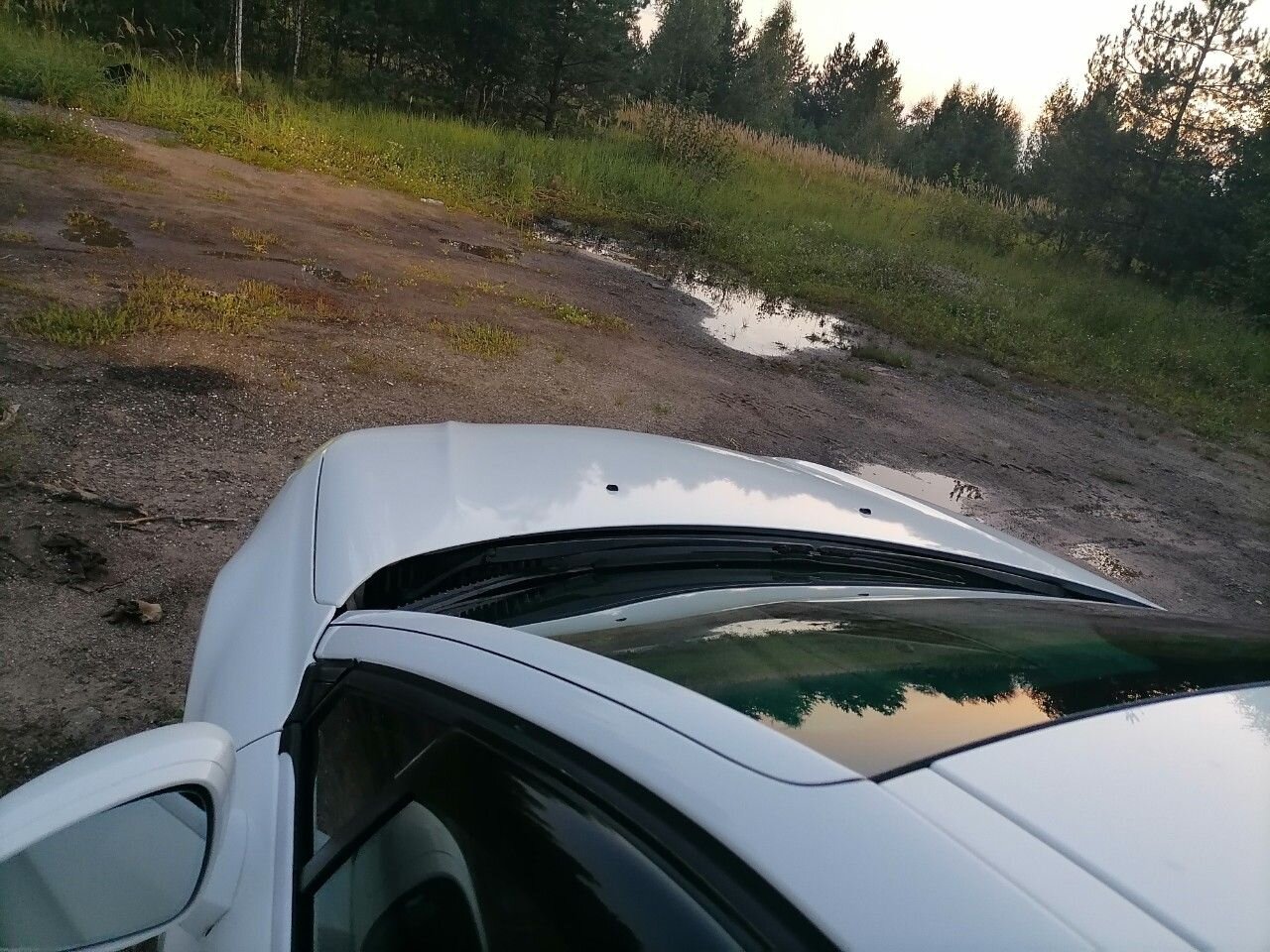 Citroen C5: фото владельца