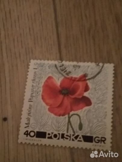 Марки вауна