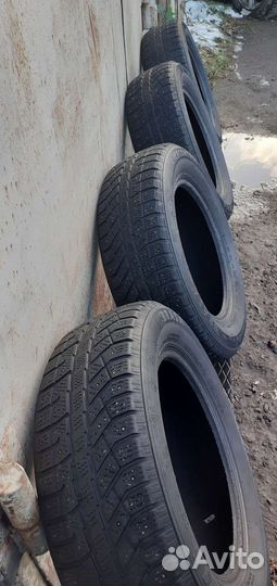 Brasa IceControl 195/65 R15