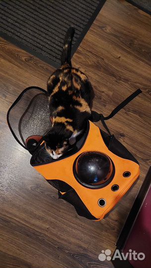 Переноска для кошек и собак. рюкзак