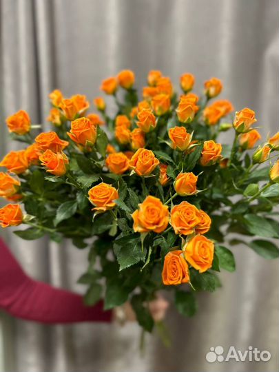 Цветы Букеты с Доставкой