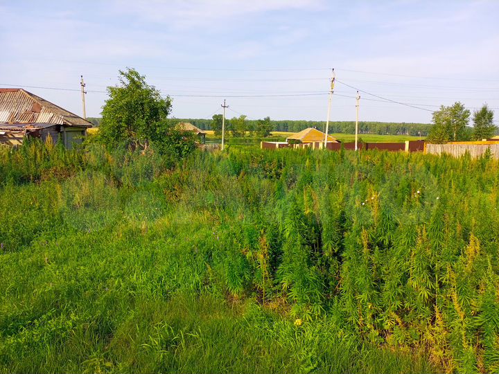 Участок 15 сот. (ИЖС)