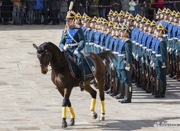 Алмазный фонд, Оружейная палата, Соборная площадь