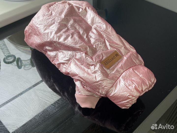 Одежда для собак