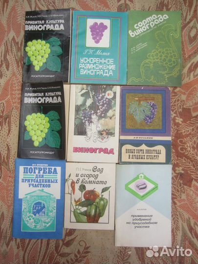 А.И. Коровин. О.Н. Коровина. Погода, огород и сад