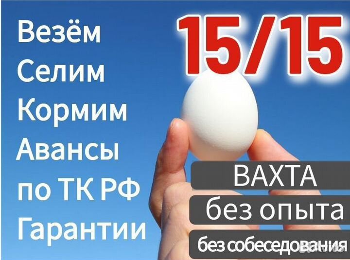 Работа Комплектовщик(ца) яиц все условия Вахта 15