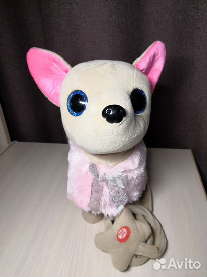 Собачка в сумочке Chi Chi Love