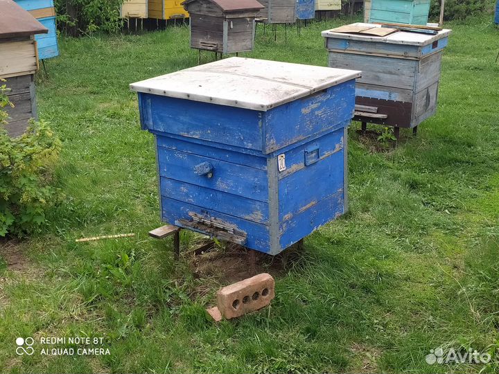 Пчелосемьи