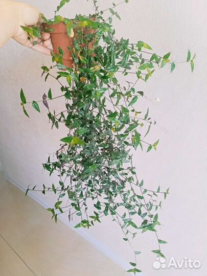 Распродажа излишков