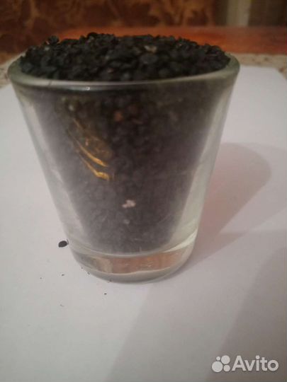 Лук севок сорт Погарский, чернушка сорт Погарский