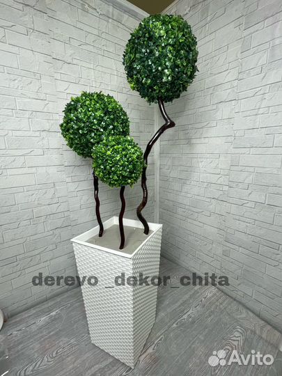 Топиарий Самшит искусственный, Замиокулькас