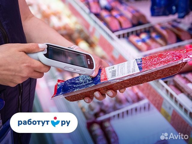 Счетчик ревизор. Подработка. Балашиха