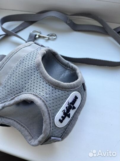 Шлейка для мелких собак и кошек