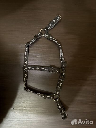 Шлейка для собаки