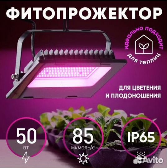 Фитопрожектор