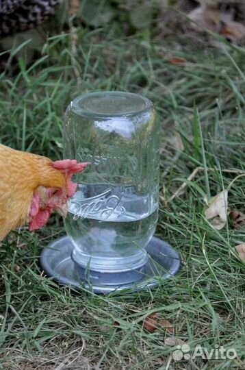 Поилка под банку для птиц