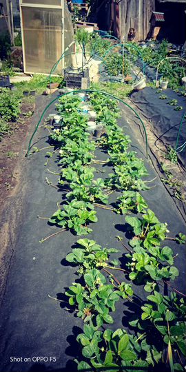 Дом 80 м² на участке 9 сот.