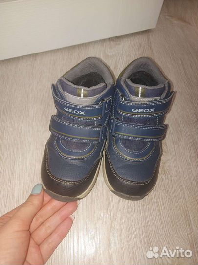 Ботинки для мальчика Geox