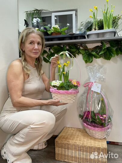 Цветы в корзине нарциссы и примулы