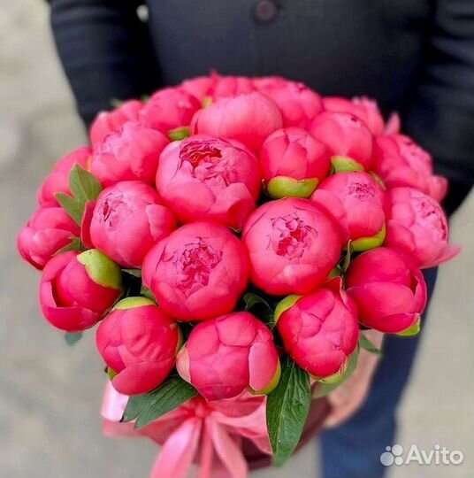 Пионы Букет пионов