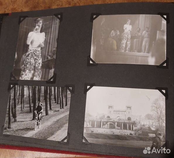 Фотографии в альбоме