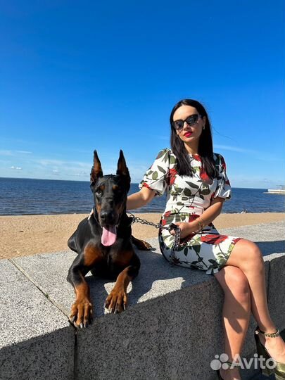 Фотосессия с доберманом